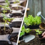 7 stvari, ki jih lahko počnete na parceli v febrju: