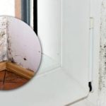 Črna plesen bo izginila v nekaj minutah: skrivno "orožje", ki se skriva v hladilniku Črna plesen bo izginila v nekaj minutah: skrivno "orožje", ki