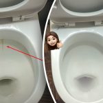 En izdelek bo vašo straniščno školjko pobelil do popolnega sijaja: