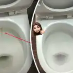 En izdelek bo vašo straniščno školjko pobelil do popolnega sijaja: