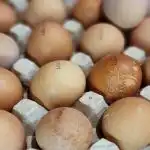 Kako dolgo morate kuhati jajca, da rumenjak ne postane siv in beljak gumijast? kako-dolgo-morate-kuhati-jajca-da-rumenjak-ne-postane-siv.jpg