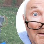 Nenavadna najdba ob drevesu je soseda zmedla: kakšno skrivnost skriva