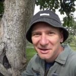 Prazno drevo ni sodba: preizkušen način za podaljšanje življenjske dobe