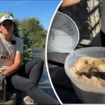 Preprosta dedkova metoda: vrtnar povedal, kako ohraniti korenje sveže do pomladi Preprosta dedkova metoda: vrtnar povedal, kako ohraniti korenje sveže do