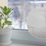 Rezultat vas bo presenetil: recept za sredstvo, ki bo pobelilo