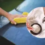 Rezultat vas bo presenetil: voznike pozivajo, naj si avto namažejo