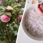 S tem sredstvom bodo vrtnice cvetele kot še nikoli prej: