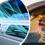 Vročinski val je prizadel Ukrajino: kako hitro ohladiti notranjost avtomobila