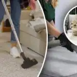 Za vami ne bo ostala niti ena sama sled: 7