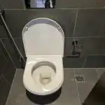 Kaj se zgodi, če Coca-Colo čez noč zlijete v stranišče: kemijski poskus za vodovodarje kaj-se-zgodi-ce-coca-colo-cez-noc-zlijete-v-stranisce.jpg