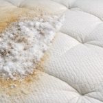 Kako brez kemičnega čiščenja povrniti čistočo svoji vzmetnici kako-brez-kemicnega-ciscenja-povrniti-cistoco-svoji-vzmetnici.png