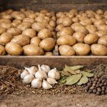 Kako med skladiščenjem trajno pozabiti na žične črve v krompirjevih jamah kako-med-skladiscenjem-trajno-pozabiti-na-zicne-crve-v-krompirjevih.png