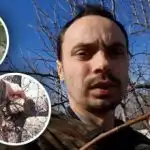 Kako prvič cepiti drevo: metoda, s katero se lahko spopade