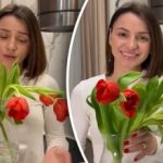 Kako v 5 minutah rešiti ovenele tulipane - preizkušena življenjska rešitev Kako v 5 minutah rešiti ovenele tulipane - preizkušena življenjska