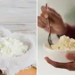 Katera skuta je bolj zdrava - mastna ali posneto: strokovnjak