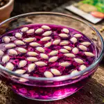 Mangan za semena bo vaša najbolj varovana skrivnost za obilen pridelek to pomlad mangan-za-semena-bo-vasa-najbolj-varovana-skrivnost-za-obilen.png