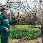 Modri vrtnarji so vrt poškropili z enim izdelkom: nobeno drevo
