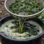 Naravni doping za sadike in gredice pred pekočim plevelom naravni-doping-za-sadike-in-gredice-pred-pekocim-plevelom.png