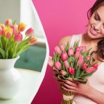 Ne bo cvetela in bo trajala 2 tedna: kaj dodati