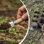 Setveni koledar za april 2026: kateri dnevi bodo pripomogli k