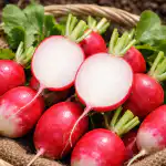 Skrivnost popolnoma sladkih redkvic brez votlin in pekoče grenkobe skrivnost-popolnoma-sladkih-redkvic-brez-votlin-in-pekoce-grenkobe.png