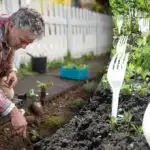 Sosedje so se smejali, dokler niso videli rezultata: zakaj so