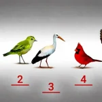 ugotovite-ali-ste-naivna-oseba-psiholoski-test-s-pticami.webp.webp