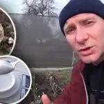 Večina ljudi to počne "na oko": brez česna hranjenje ne bo prineslo rezultatov. Večina ljudi to počne "na oko": brez česna hranjenje ne