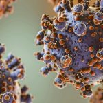 Vse o HPV. Pogovarjali smo se z onkologi, ki so razblinili mite o virusu vse-o-hpv-pogovarjali-smo-se-z-onkologi-ki-so.jpg