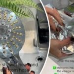 Z leti nakopičeni vodni kamen: Kako očistiti glavo za prhanje od znotraj navzven Z leti nakopičeni vodni kamen: Kako očistiti glavo za prhanje