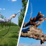 Za škodljivce vam ni treba skrbeti do konca sezone: s