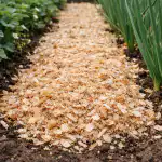 Žagovina spomladi bo prihranila vaš pridelek in energijo zagovina-spomladi-bo-prihranila-vas-pridelek-in-energijo.png