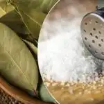 Zakaj dati lovorjev list v limono: nepričakovan, a učinkovit življenjski