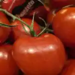 zakaj-izkusene-gostiteljice-zamrznejo-celoten-paradiznik-in-ne-omake.jpg