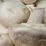 Zakaj ne smete oprati gob pred peko na žaru, če želite imeti skorjico: nasveti za gospodinje zakaj-ne-smete-oprati-gob-pred-peko-na-zaru-ce.jpg