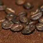 Zakaj po zajtrku pobrati kavno usedlino: skrivno orožje za dom in vrt zakaj-po-zajtrku-pobrati-kavno-usedlino-skrivno-orozje-za-dom.jpg