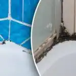 Črna plesen v kopalnici bo izginila v treh preprostih korakih: