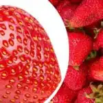 En nepričakovan trik in jagode bodo večkrat večje in bolj