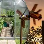 Ena naprava proti ščinkavcem in krtom: preprosta rešitev za vaše