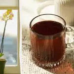 Ena skodelica naravne raztopine - in orhideja bo nenehno cvetela: