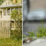 Kako zalivati plevel ob ograji: naslednji dan izgine