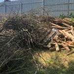 Kam naj odložim veje z zemljišča, da ne bom dobil globe? kam-naj-odlozim-veje-z-zemljisca-da-ne-bom-dobil.webp.webp