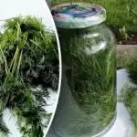 Koper bo ostal svež več tednov: preprost trik, ki ga