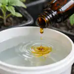 Majhna steklenička iz lekarne bo rešila šibko sadiko in podvojila vaš prihodnji pridelek. majhna-steklenicka-iz-lekarne-bo-resila-sibko-sadiko-in-podvojila.png