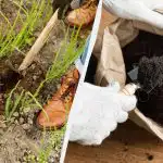 Na vaši čebuli ne bo sedela nobena muha: s čim