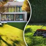 Navaden izdelek iz kuhinje bo vašo trato naredil popolno: preprost