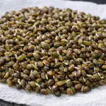 Skrivna metoda sajenja kopra za goste grmovnice brez dežnikov skrivna-metoda-sajenja-kopra-za-goste-grmovnice-brez-deznikov.png