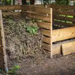 Starega listja ne smete sežgati - bolje je narediti odličen