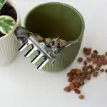 Strokovnjaki so ovrgli priljubljen mit: kamni na dnu lonca lahko