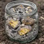 Ta preprost spomladanski trik bo vaš krompir rešil pred koloradskim hroščem brez kapljice kemikalij. ta-preprost-spomladanski-trik-bo-vas-krompir-resil-pred-koloradskim.png